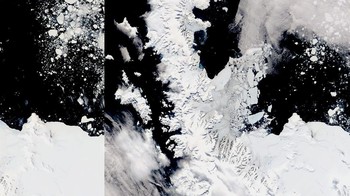Hamparan es laut yang luas di teluk Larsen B (perairan yang berbatasan dengan Semenanjung Antartika) telah runtuh menjauh dari pantai tempat ia melekat sejak 2011. Foto: NASA