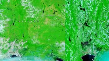Hujan monsun lebat, menyusul badai tropis Dianmu dan Kompasu, memicu tanah longsor dan banjir di Thailand pada Oktober 2021. Menurut badan antariksa Thailand, sekitar 5.200 mil persegi (13.600 kilometer persegi) tergenang pada 19 Oktober, mempengaruhi lebih banyak lagi dari satu juta orang. Foto: NASA