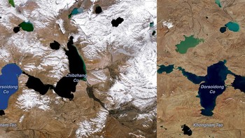 Dataran Tinggi Tibet, rumah bagi puluhan ribu gletser, sangat sensitif terhadap perubahan iklim.  Gambar 1987 diambil ketika Dorsoidong Co (kiri) masih terpisah dari Chibzhang Co oleh sebidang tanah tipis. Saat air di kedua danau naik, akhirnya menutupi penghalang, menggabungkan danau pada saat gambar 2021. Foto: NASA