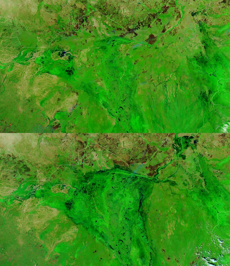 Foto perubahan iklim