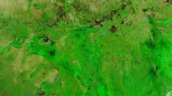 Hujan ekstim membuat banjir besar dan luas di Sudan Selatan. Foto: NASA