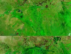 Foto Satelit Imbas Perubahan Iklim yang Menakutkan, Termasuk Indonesia