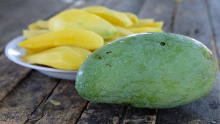 Mangga muda