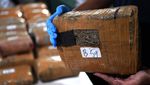 Polda Metro Jaya Pamer 471 Kg Ganja Jaringan Aceh