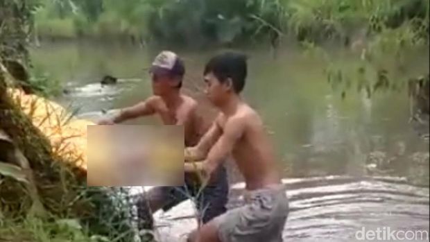 Penemuan bayi tersangkut pohon di sungai yang ternyata dibuang wanita open BO di Pasuruan.