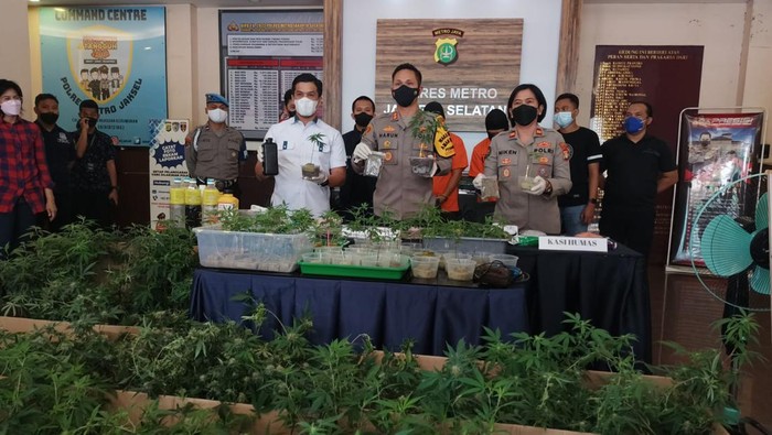 Polres Jaksel tangkap 2 pria tanam ganja hidroponik di apartemen Bekasi