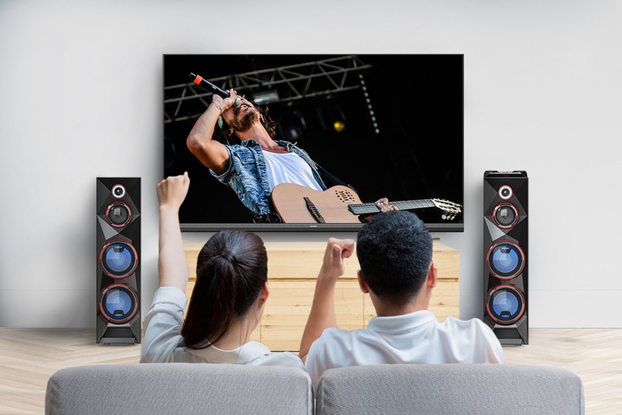 Polytron speaker