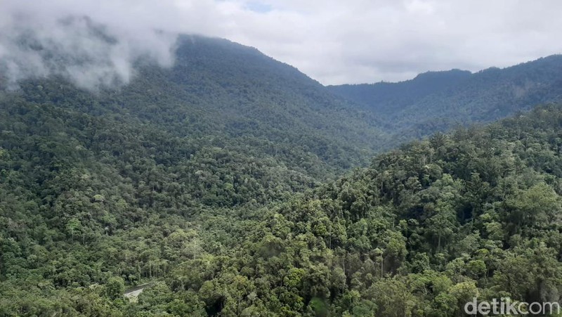 Badan Aksesibilitas Telekomunikasi dan Informasi (BAKTI Kominfo) terus berupaya memberikan layanan internet melalui pembangunan tower BTS 4G di pedalaman Papua.