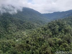 Potret Perjuangan Distribusi Material Tower BTS 4G di Pedalaman Papua