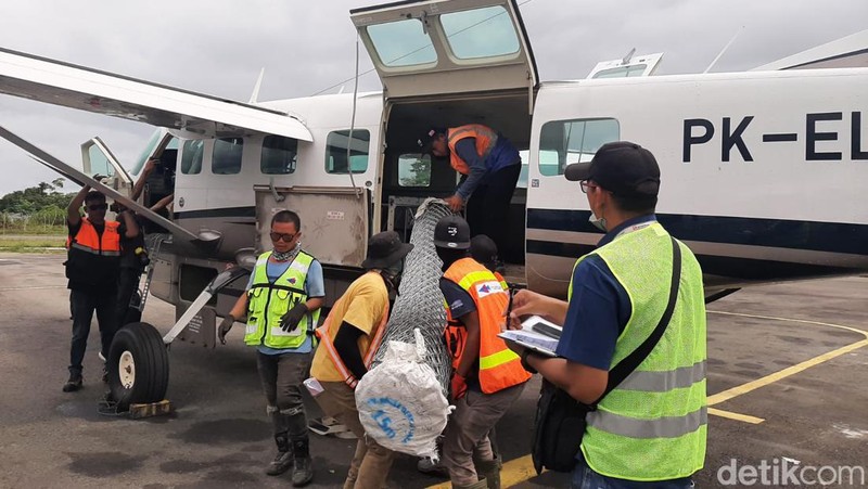 Badan Aksesibilitas Telekomunikasi dan Informasi (BAKTI Kominfo) terus berupaya memberikan layanan internet melalui pembangunan tower BTS 4G di pedalaman Papua.