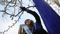 Pohon biru ini menjadi bagian dari instalasi seni publik Konstantin Dimopoulos: The Blue Trees.  