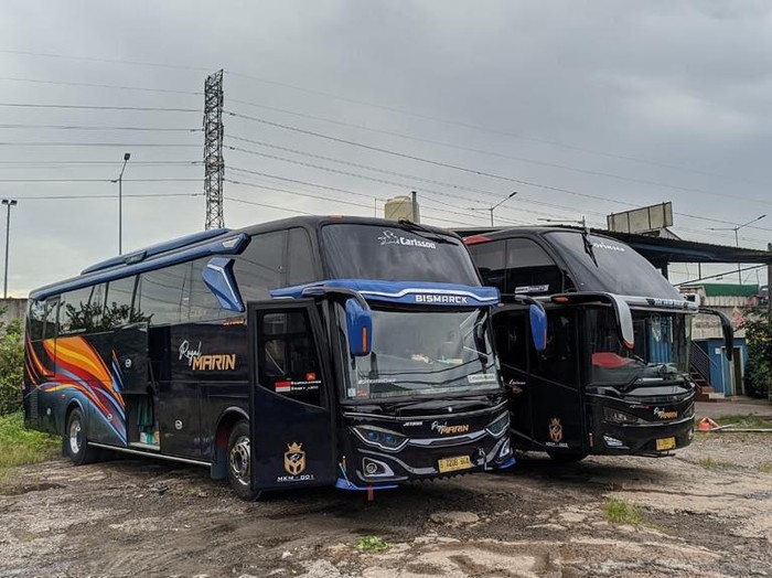 sewa bus