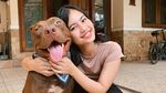 6 Pesona Tasha Rasyid, Adik Soraya Rasyid Kelahiran 1999 yang Disorot