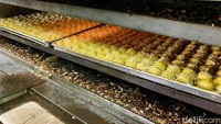Ada 8 oven yang dipakai untuk memanggan kue kering. Selalu penuh terisi karena permintaan kue kering yang meningkat. Foto: detikFood/Yenny Mustika Sari