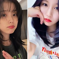 Tren rambut wolf cut belakangan juga populer di kalangan remaja terutama pengguna TikTok. IU memilih untuk menambah see through bangs, sementara Mina TWICE memilih poni belah tengah. Foto: dok. Instagram @dlwlrma, dok. Instagram @twicetagram