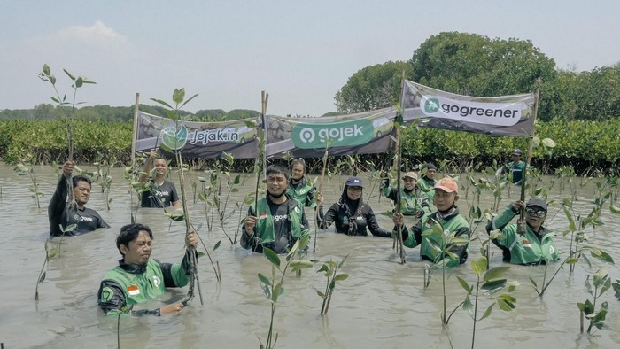 #GoGreener
