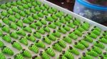 Unik! 10 Kue Lebaran Ini Dijamin Bikin Tamu Penasaran