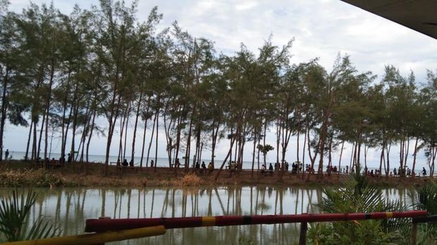 Hamparan pepohonan di bibir Pantai Somi, Kabupaten Nias