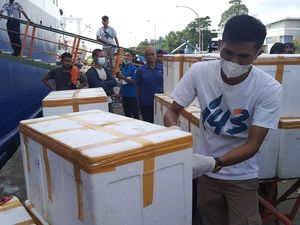 Petugas Gagalkan Selundupan 300 Kg Daging Babi Ilegal di Pelabuhan Parepare