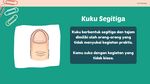 Bentuk Kuku Bisa Ungkap Karakter Seseorang, Punyamu yang Mana?