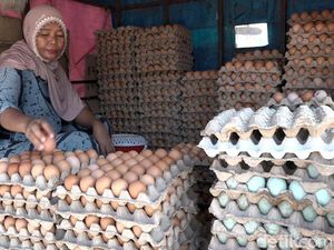 Emak-emak di Polman Meradang Harga Daging Ayam-Telur Naik Jelang Lebaran