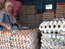 Luhut Sebut RI Surplus Telur & Daging Ayam Selama 20 Tahun