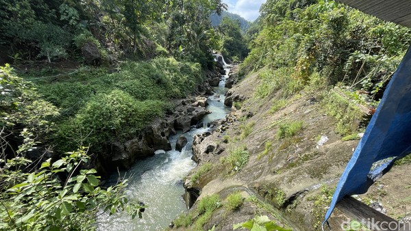 Melewati aneka jenis hutan. Ya, tak hanya satu jenis hutan yang akan Anda lihat jika melakukan mudik tak biasa melalui Jalur Pantai Selatan via Jakarta-Cianjur. Di sini, Anda akan melihat berbagai jenis hutan atau tutupan lahan. Melewati aneka jenis hutan. Ya, tak hanya satu jenis hutan yang akan Anda lihat jika melakukan mudik tak biasa melalui Jalur Pantai Selatan via Jakarta-Cianjur. Di sini, Anda akan melihat berbagai jenis hutan atau tutupan lahan.