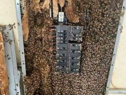 Duh! Teknisi IT Pasti Geleng-geleng Kepala Melihat Masalah Ini