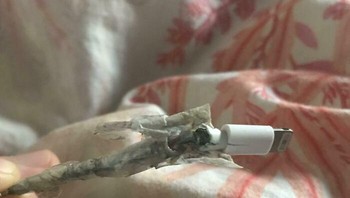 Kabel charger iPhone ini sudah terlihat sekarat, tapi pemiliknya tidak mau mengganti karena katanya masih berfungsi. Agak ngeri sih... Foto: Reddit via Bored Panda