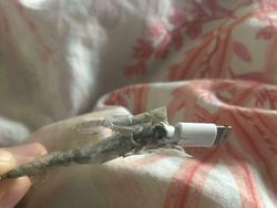 Duh! Teknisi IT Pasti Geleng-geleng Kepala Melihat Masalah Ini