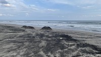 Beberapa tahun lalu warga protes keras karena ada tambang pasir dari perusahaan luar negeri itu. Sumber air jadi hilang karenanya, untungnya pemerintah mendengar protes itu, tapi hasil pertambangan itu Pantai Cidaun jadi bolong-bolong