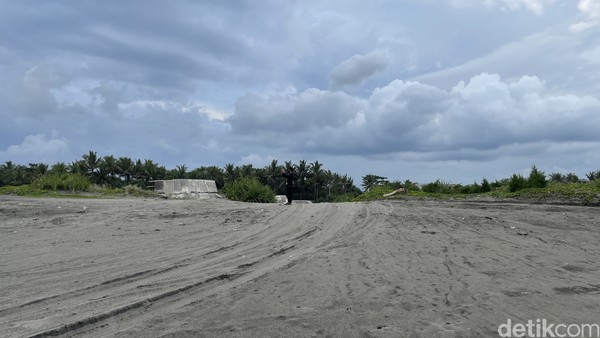 Meski Pantai Cidaun bolong-bolong, kini sudah ada upaya konservasi dengan penanaman pohon cemara. Pemerintah juga akan membangun fasilitas berupa jalan beton di lokasi itu.