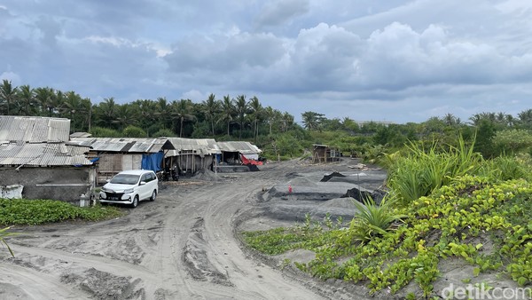 Sekadar diketahui, mineral besi dari pasir hitam Pantai Cidaun memang dapat menjadi pemasukan bagi warga. Tiap sekilo raw besi yang dihasilkan penambang tradisional itu dihargai kurang dari Rp 500 dan dikirim ke Jakarta untuk proses peleburan dan sejenisnya. Jadi, jika Anda mau mudik lewat jalur Pantai Selatan, Pantai Cidaun juga cocok untuk dikunjungi. Anda bisa belajar tentang beberapa hal di atas dan destinasi ini bisa dikembangkan menjadi wisata edukasi. Sekadar diketahui, mineral besi dari pasir hitam Pantai Cidaun memang dapat menjadi pemasukan bagi warga. Tiap sekilo raw besi yang dihasilkan penambang tradisional itu dihargai kurang dari Rp 500 dan dikirim ke Jakarta untuk proses peleburan dan sejenisnya. Jadi, jika Anda mau mudik lewat jalur Pantai Selatan, Pantai Cidaun juga cocok untuk dikunjungi. Anda bisa belajar tentang beberapa hal di atas dan destinasi ini bisa dikembangkan menjadi wisata edukasi.