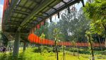 Diresmikan Anies, Tebet Eco Park Makin Instagenik