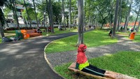 Sebelumnya Gubernur Jakarta Anies Baswedan mengatakan Tebet Eco Park akan menjadi contoh penerapan naturalisasi yang mengintegrasikan Kawasan Hijau dan Biru di Ruang Terbuka Hijau, serta akan menjadi Ruang Ketiga untuk masyarakat saling berinteraksi.