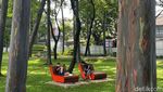 Yuk! Ngabuburit di Tebet Eco Park