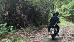 Legenda Prabu Siliwangi di Leuweung Sancang