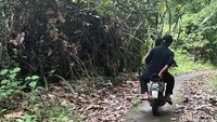 Cagar Alam Leuweung Sancang di Garut adalah kawasan konservasi. Namun, keleluasaan berlebih membuat kita bisa mengeksplornya menggunakan motor. Foto: (Ahmad Masaul Khoiri/detikcom)