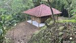 Legenda Prabu Siliwangi di Leuweung Sancang