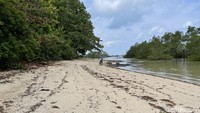 Cagar Alam Leuweung Sancang Garut yang terletak di Jalur Pantai Selatan (Pansela) memiliki begitu banyak ojek. Ada sekitar 50 orang objek yang siap mengantar wisatawan ke petilasan Prabu Siliwangi, air terjun, dan pantai pasir putihnya. Foto: (Ahmad Masaul Khoiri/detikcom)