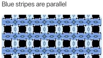 Percaya nggak kalo garis biru itu sejajar? Foto: Reddit