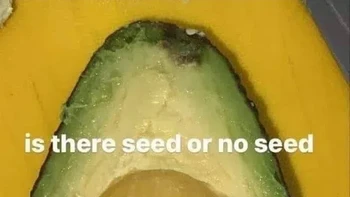 Adalah biji alpukat dalam foto ini? Foto: Reddit