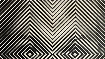 Apa yang kamu lihat? mFoto: Reddit