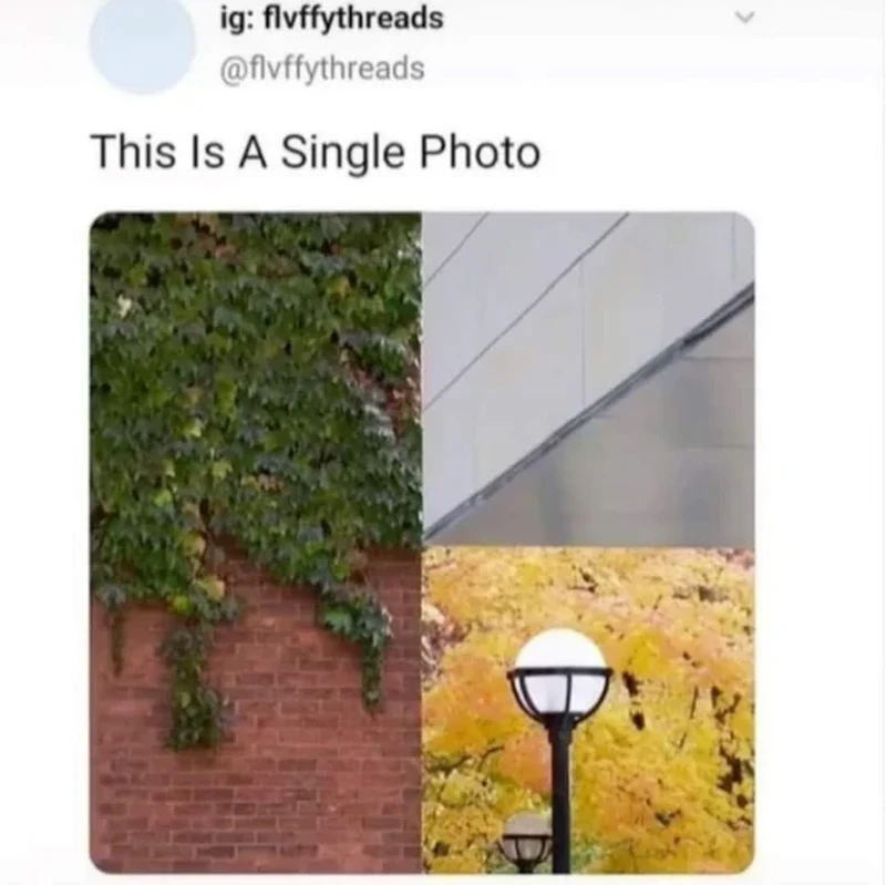 Ilusi optik yang menipu mata dan otak