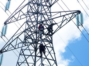 PLN Bangun Sejumlah Infrastruktur Listrik di Kalbar & Kalteng