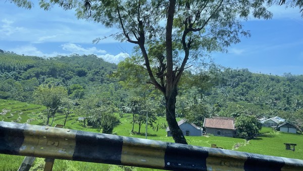 Jalur Pansela, Cianjur-Pangandaran, memang begitu cantik karena kontur jalannya. Rute ini seperti dikhususkan traveler yang mudik dengan santai. Anda akan dibawa naik turun bukit, melihat berbagai hutan, mulai dari jati, karet, sengon, hingga hutan heterogen. Namun yang pasti di beberapa titik Anda akan sangat dekat dengan laut karena jalannya memang berada di bibir pantai. Jalur Pansela, Cianjur-Pangandaran, memang begitu cantik karena kontur jalannya. Rute ini seperti dikhususkan traveler yang mudik dengan santai. Anda akan dibawa naik turun bukit, melihat berbagai hutan, mulai dari jati, karet, sengon, hingga hutan heterogen. Namun yang pasti di beberapa titik Anda akan sangat dekat dengan laut karena jalannya memang berada di bibir pantai.