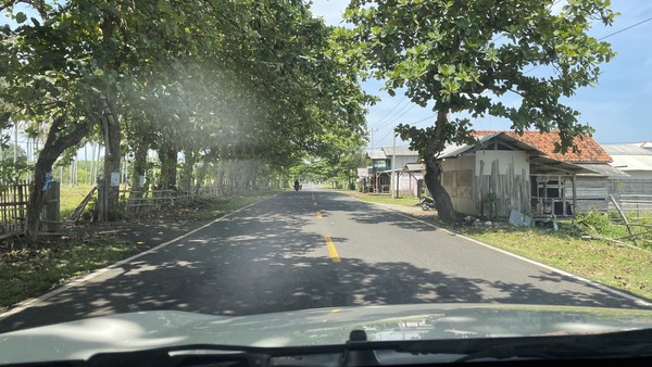 Di sepanjang Jalur Pansela, Cianjur-Pangandaran, ada begitu banyak spot cantik, berupa persawahan hijau berhias pohon kelapa dan berlatar hutan lebat. Selain itu, ada pula beberapa tambak yang ada di beberapa wilayah. Biasanya keberadaan tambak ini ada di daerah datar dan berbatas langsung dengan pantai. Jika dilihat dan dirasakan lebih dalam, ada beberapa spot yang akan membawa Anda dejavu, karena daerah itu mirip dengan pesisir yang ada di Indonesia Timur. Namun, perasaan itu sirna di kala melihat lanskap yang hijau. Di sepanjang Jalur Pansela, Cianjur-Pangandaran, ada begitu banyak spot cantik, berupa persawahan hijau berhias pohon kelapa dan berlatar hutan lebat. Selain itu, ada pula beberapa tambak yang ada di beberapa wilayah. Biasanya keberadaan tambak ini ada di daerah datar dan berbatas langsung dengan pantai. Jika dilihat dan dirasakan lebih dalam, ada beberapa spot yang akan membawa Anda dejavu, karena daerah itu mirip dengan pesisir yang ada di Indonesia Timur. Namun, perasaan itu sirna di kala melihat lanskap yang hijau.