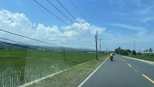 Salah satu hal yang paling menyenangkan saat melewati Jalur Pansela, Cianjur-Pangandaran, adalah ketiadaan lampu merah. Jadi, jalur ini memang minim persimpangan. Ketiadaan lampu merah di sepanjang Jalur Pansela, Cianjur-Pangandaran, mungkin juga disebabkan oleh minimnya pengguna jalan. Di jalur ini memang masih sangat sepi di kebanyakan ruas jalannya. Sangat sepi hingga Anda merasa berjalan di tol pribadi. Salah satu hal yang paling menyenangkan saat melewati Jalur Pansela, Cianjur-Pangandaran, adalah ketiadaan lampu merah. Jadi, jalur ini memang minim persimpangan. Ketiadaan lampu merah di sepanjang Jalur Pansela, Cianjur-Pangandaran, mungkin juga disebabkan oleh minimnya pengguna jalan. Di jalur ini memang masih sangat sepi di kebanyakan ruas jalannya. Sangat sepi hingga Anda merasa berjalan di tol pribadi.