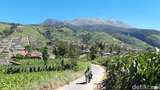 Dear Pendaki, Pendakian Merbabu Tutup Dulu Ya Sampai Lebaran
