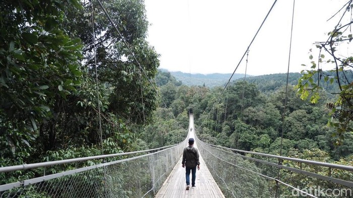 Jembatan Situ Gunung.